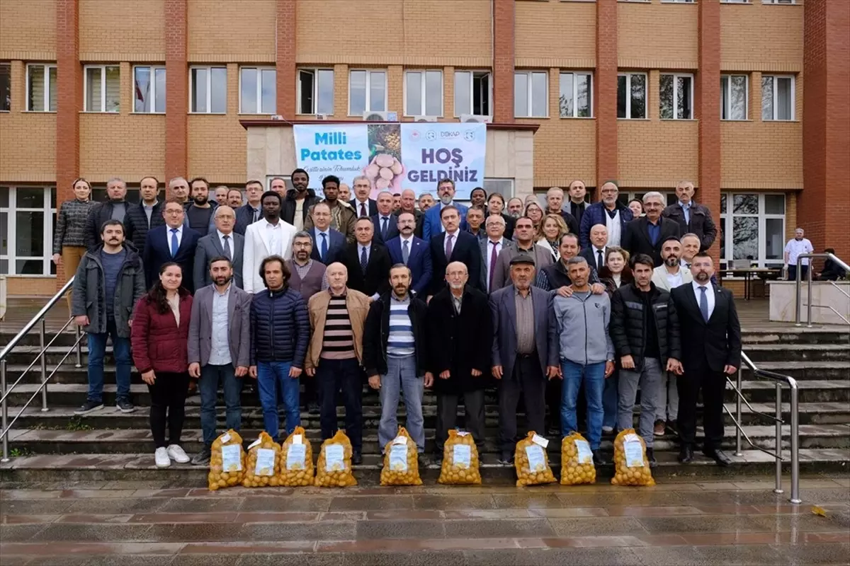 TOGÜ’den Üreticilere Patates Tohumu Desteği
